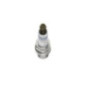 Bosch Candela 242235668