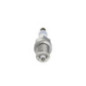 Bosch Candela 242235668