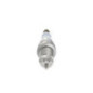 Bosch Candela 242235788