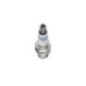 Bosch Candela 242235797