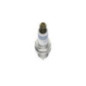 Bosch Candela 242236566