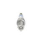 Bosch Candela 242236566