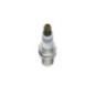 Bosch Candela 242236577