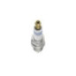 Bosch Candela 242240590