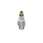 Bosch Candela 242240619