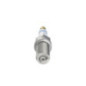 Bosch Candela 242240619