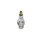 Bosch Candela 242240637
