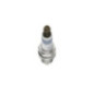 Bosch Candela 242240654