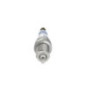 Bosch Candela 242240654