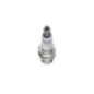 Bosch Candela 242245536