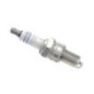 Bosch Candela 242245552