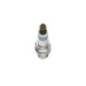 Bosch Candela 242245571