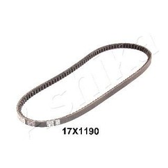 Candeletta diesel ASHI109-17X1190 per avviamenti più regolari a freddo