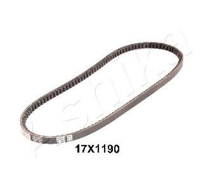 Candeletta diesel ASHI109-17X1190 per avviamenti più regolari a freddo