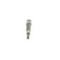 Bosch Candeletta 250202093