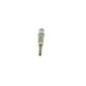 Bosch Candeletta 250202096