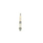 Bosch Candeletta 250202124