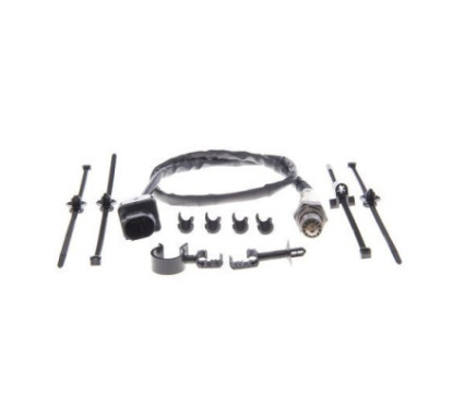 Bosch Sonda Lambda 258017178