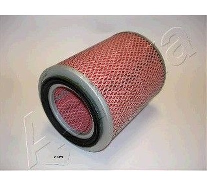 Filtro aria Ashika ASHI20-01-119 per aria motore più pulita e prestazioni regolari