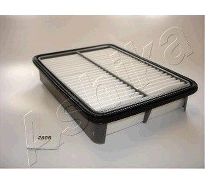 Filtro aria Ashika ASHI20-02-250 per aria motore più pulita e prestazioni regolari