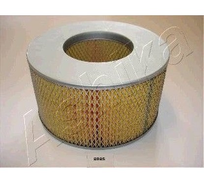 Filtro aria Ashika ASHI20-02-282 per aria motore più pulita e prestazioni regolari