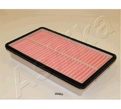 Filtro aria Ashika ASHI20-03-300 per aria motore più pulita e prestazioni regolari