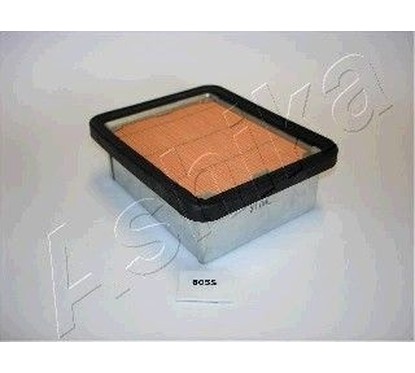 Filtro aria Ashika ASHI20-06-605 per aria motore più pulita e prestazioni regolari