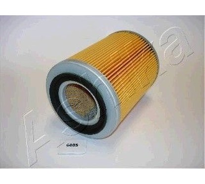 Filtro aria Ashika ASHI20-06-608 per aria motore più pulita e prestazioni regolari