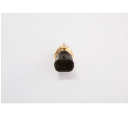 Bosch Sensore, Temperatura Carburante 281002209