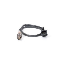 Bosch 'Renegade 281004458