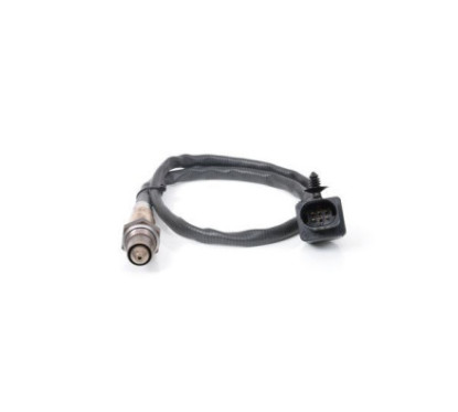 Bosch 'Renegade 281004458