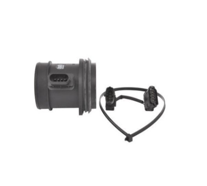 Bosch Debimetro 281006184