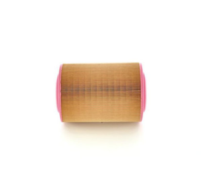 Bosch Filtro Aria 1457429795