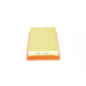 Bosch Filtro Aria 1457432146