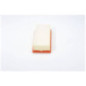 Bosch Filtro Aria 1457433160 Bosch Filtro Aria 1457433160