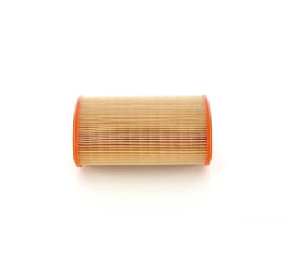 Bosch Filtro Aria 1457433234