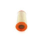 Bosch Filtro Aria 1457433270