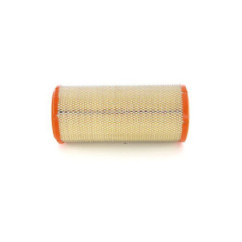 Bosch Filtro Aria 1457433270