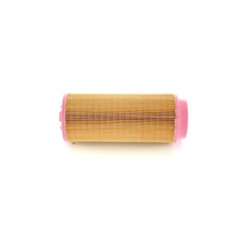 Bosch Filtro Aria 1457433557