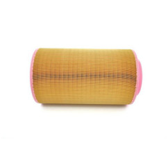 Bosch Filtro Aria 1457433568