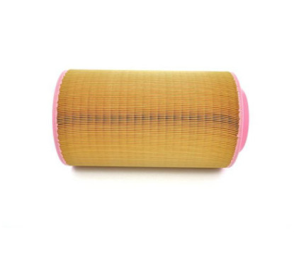 Bosch Filtro Aria 1457433568
