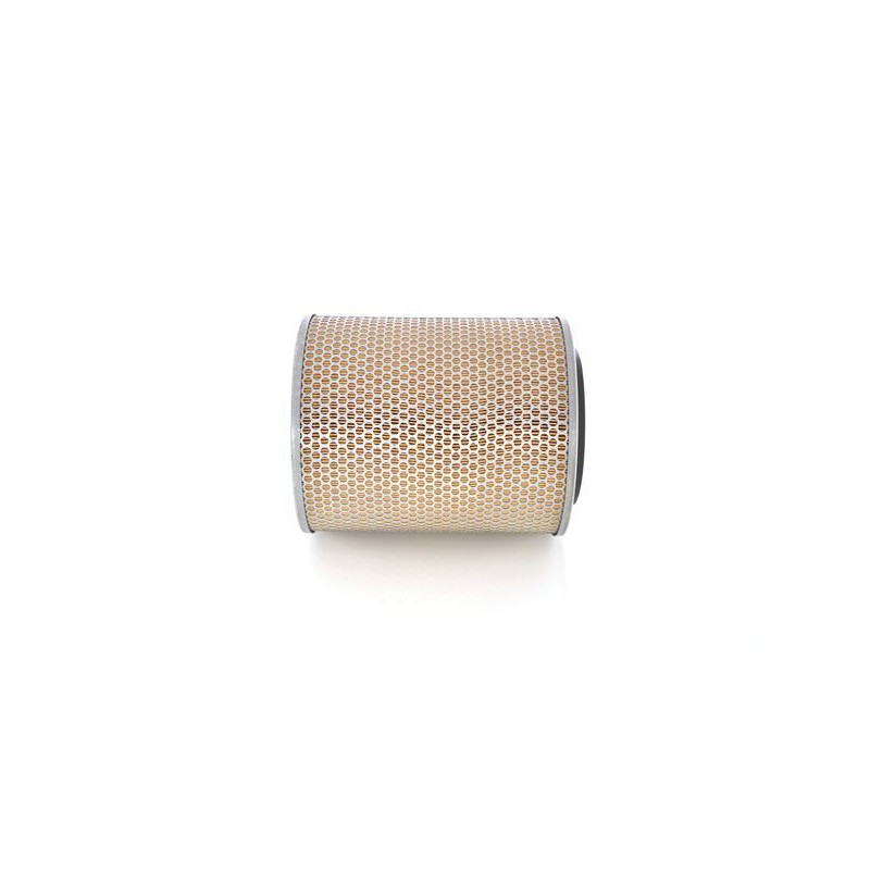 Bosch Filtro Aria 1457433735