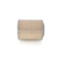 Bosch Filtro Aria 1457433735
