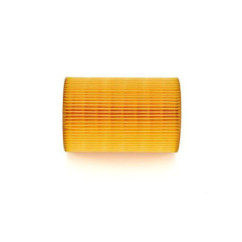 Bosch Filtro Aria 1457433739