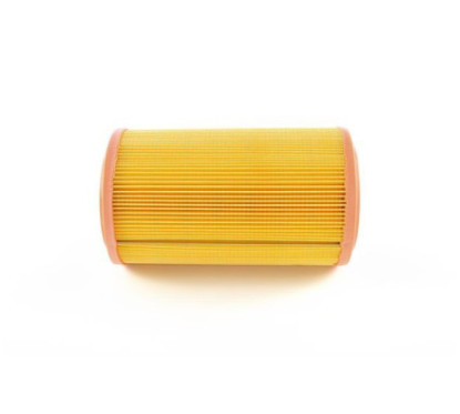 Filtro Aria Bosch 1457433791 Per Alfa, Lancia