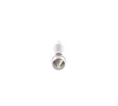 Bosch Lampadina 1987302507