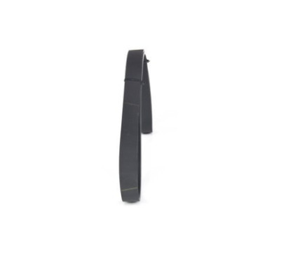 Bosch Cinghie Poly-V 1987945709