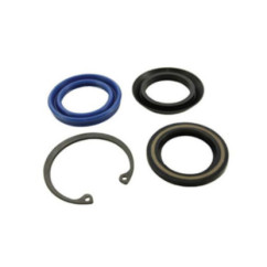 Bosch Anello Tenuta, Portainiettore 2430223003