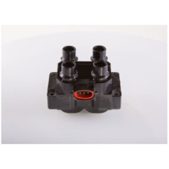 Bosch Bobina D'Accensione F000Zs0212