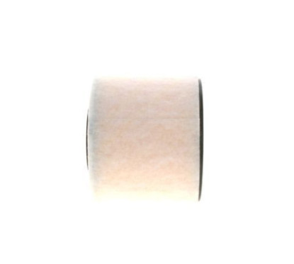 BOSCH Filtro aria F 026 400 422